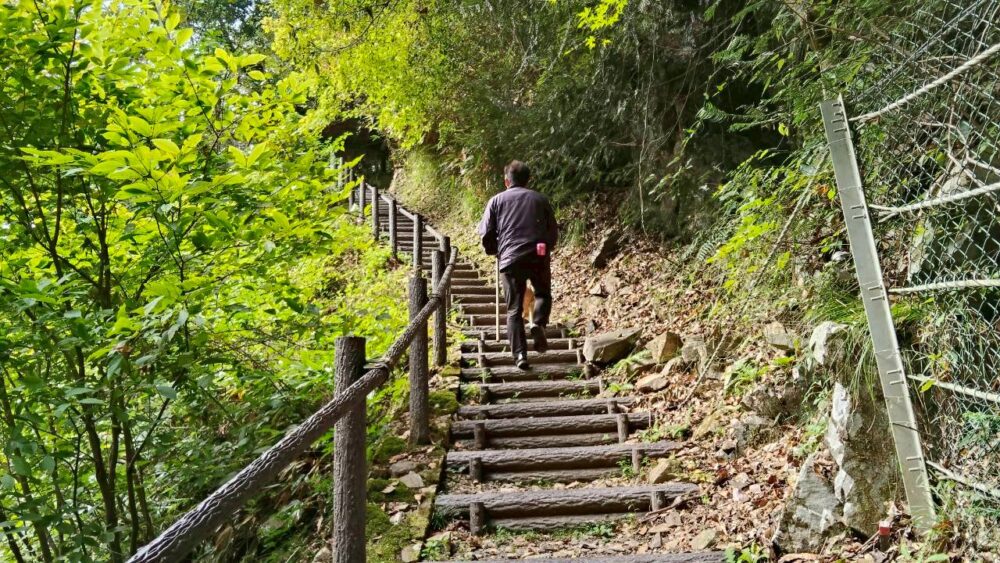 展望台への階段